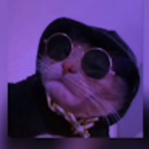 Meet your Posher, Obed